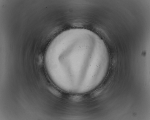 X0000090860081200708241908