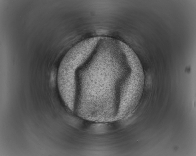 X0000090860082200708241908