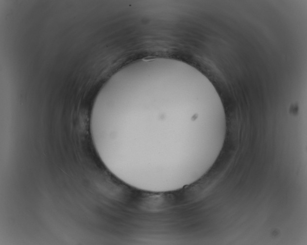 X0000090860083200708241908