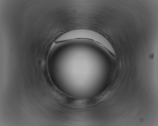 X0000090860084200708241908