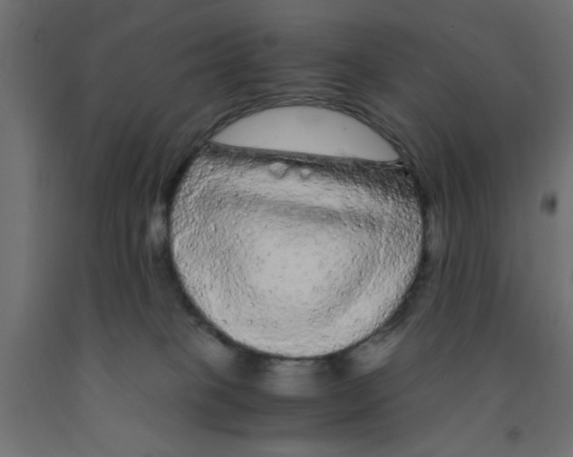 X0000090860085200708241908