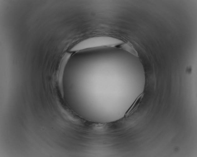 X0000090860088200708241908