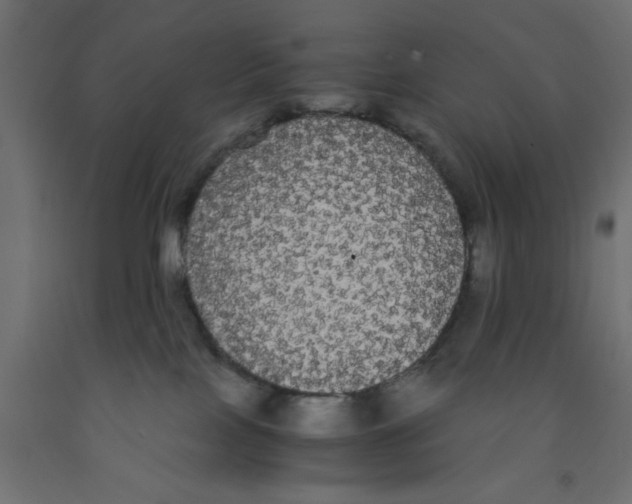 X0000090860089200708241908