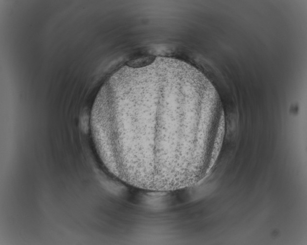 X0000090860090200708241908