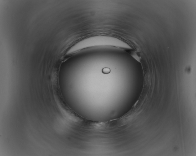 X0000090860092200708241908