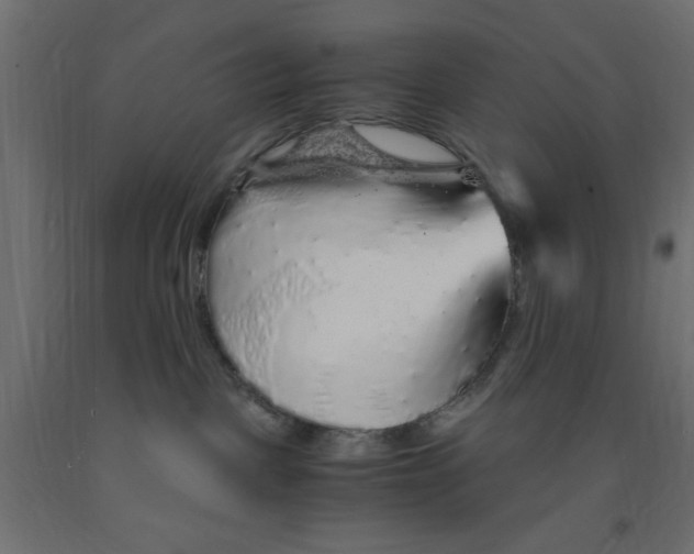 X0000090860093200708241908