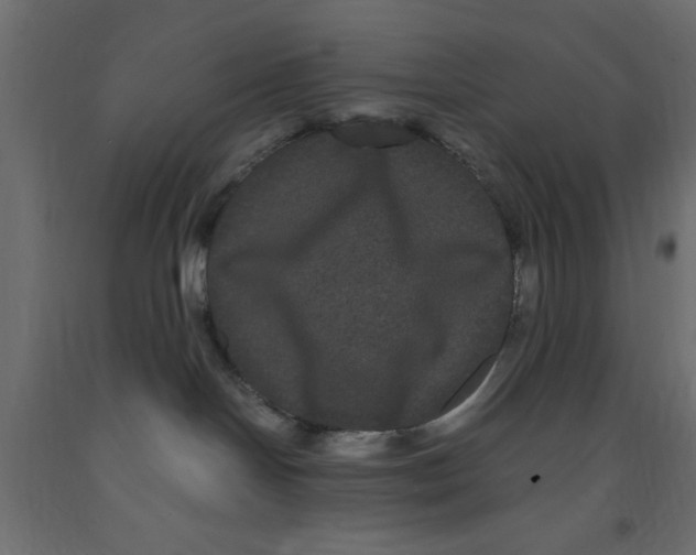 X0000090860094200708241908