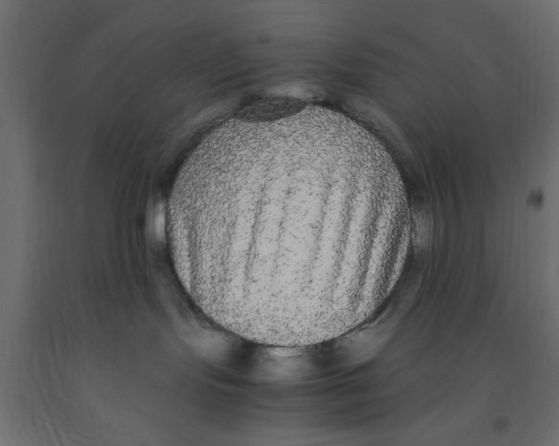 X0000090860095200708241908