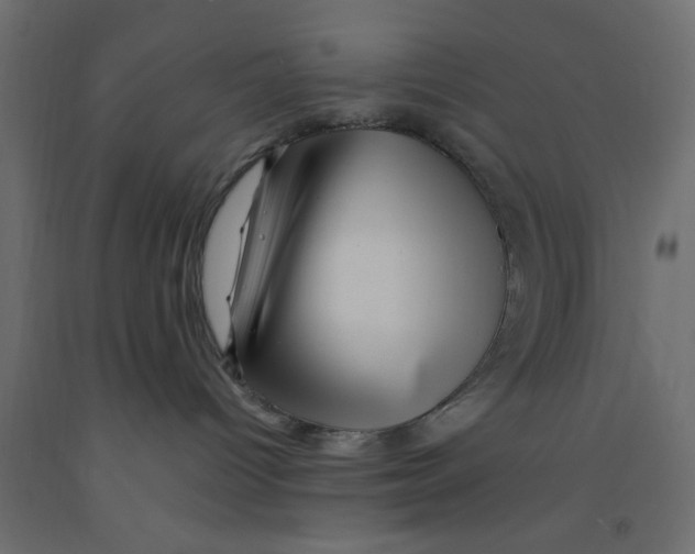 X0000090860096200708241908