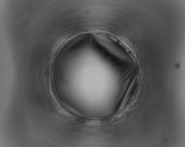 X0000090860097200708241907