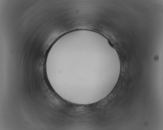 X0000090860098200708241907