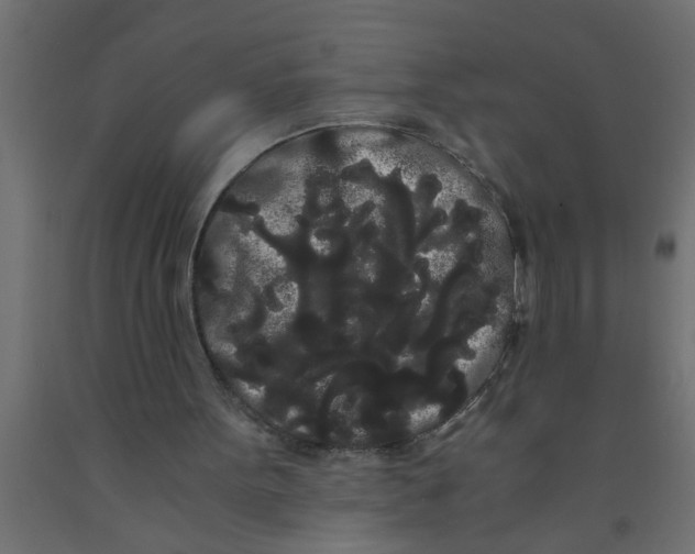 X0000090860099200708241907