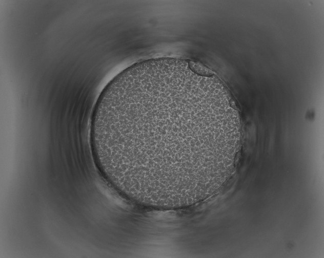 X0000090860100200708241907