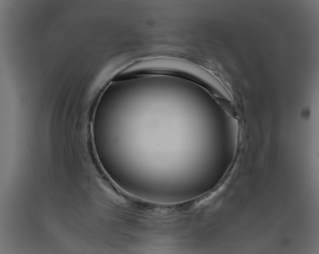 X0000090860101200708241907