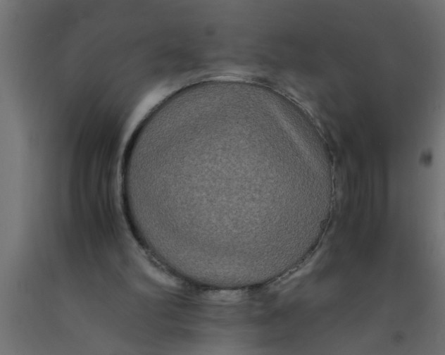 X0000090860102200708241907