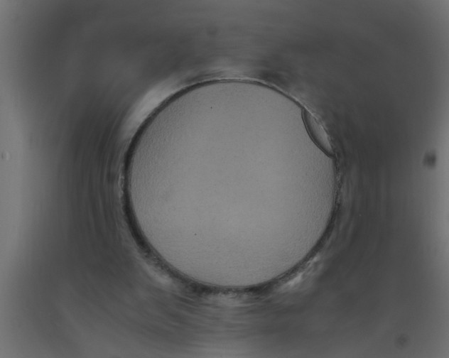 X0000090860103200708241907