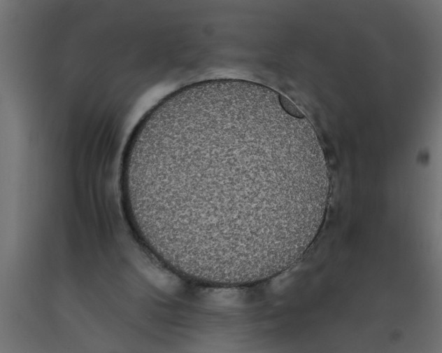 X0000090860104200708241907