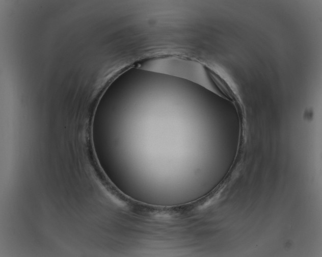 X0000090860105200708241907