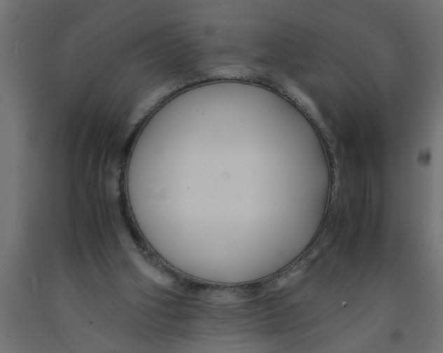 X0000090860106200708241907