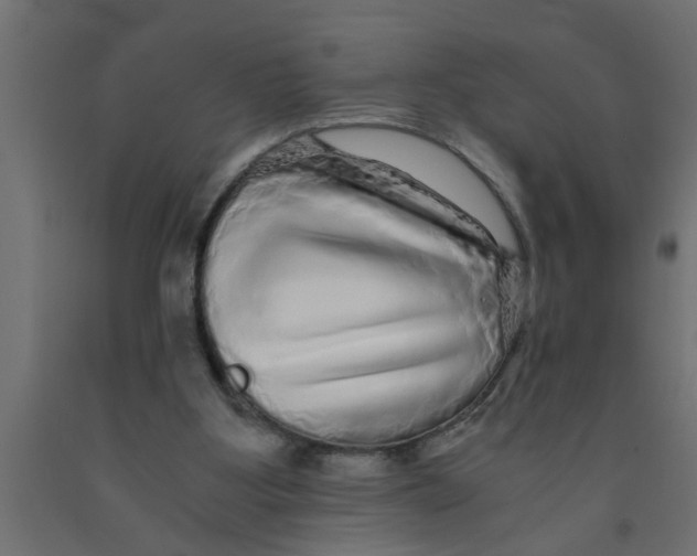 X0000090860107200708241907