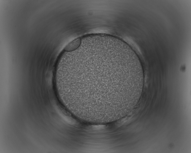 X0000090860108200708241907