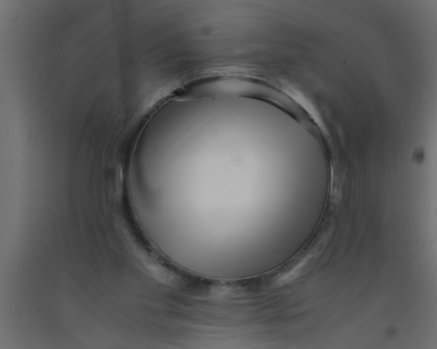 X0000090860109200708241907