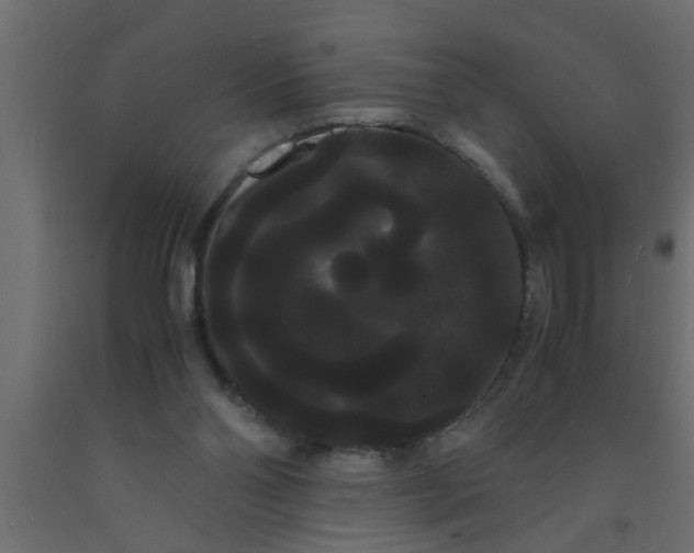 X0000090860110200708241907