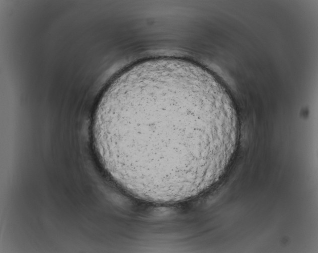 X0000090860111200708241907