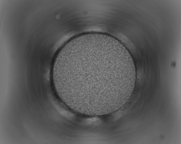 X0000090860112200708241907