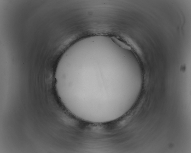 X0000090860113200708241907