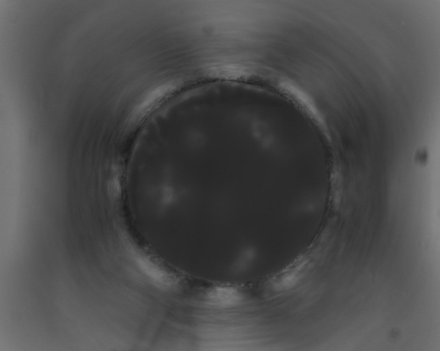 X0000090860114200708241907