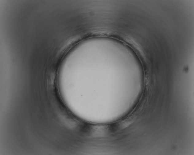 X0000090860115200708241907