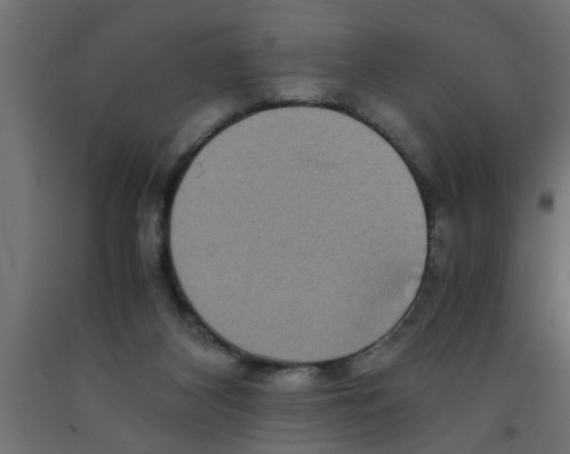 X0000090860116200708241907