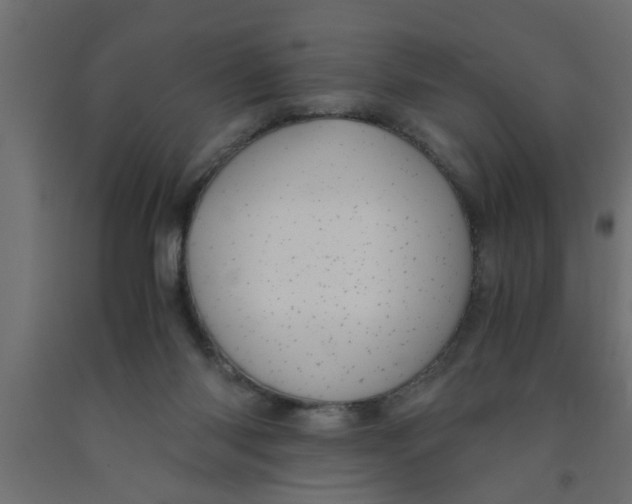 X0000090860118200708241907