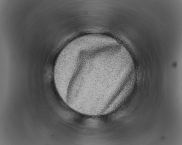 X0000090860119200708241907