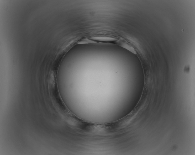 X0000090860121200708241907