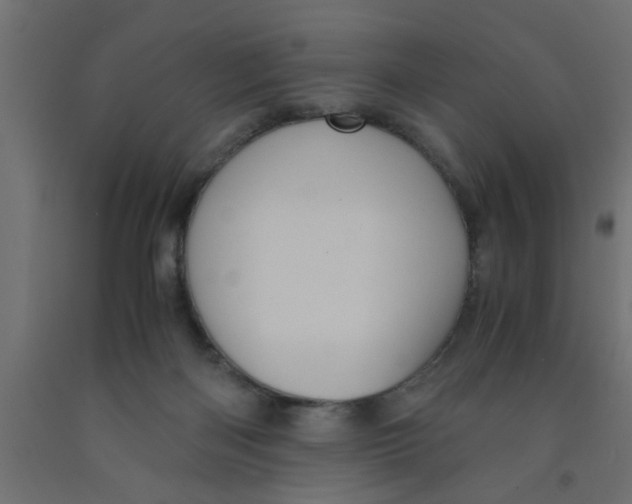 X0000090860122200708241907