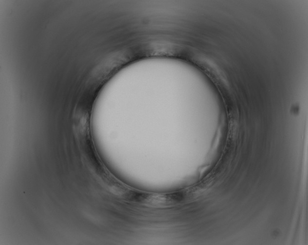 X0000090860123200708241907