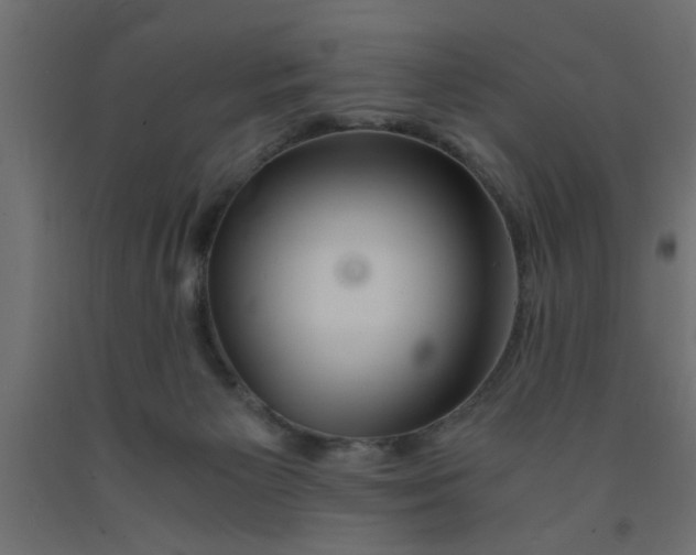 X0000090860125200708241907