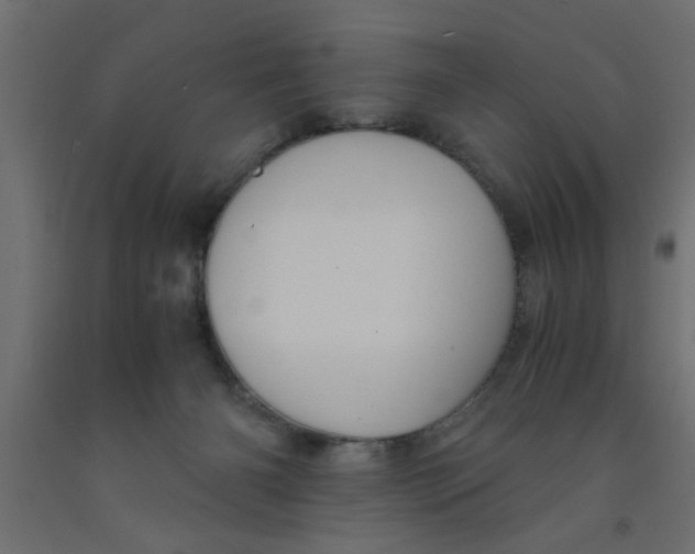 X0000090860126200708241907