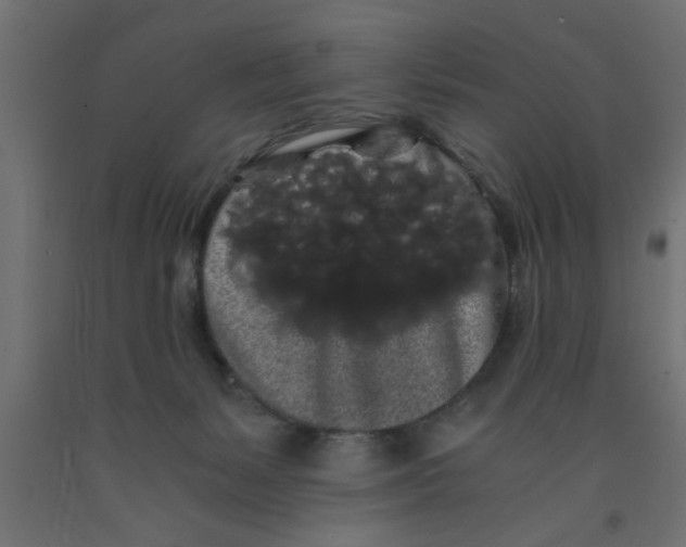 X0000090860127200708241907