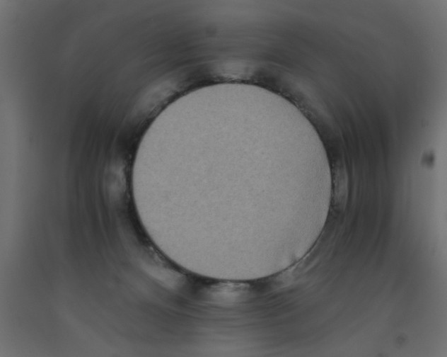 X0000090860128200708241907