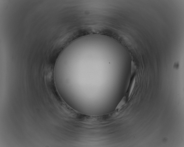 X0000090860129200708241907