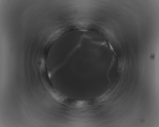 X0000090860130200708241907