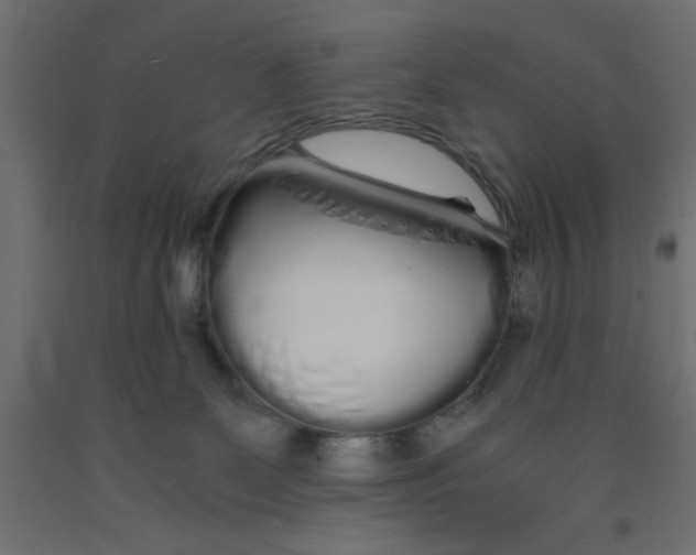 X0000090860131200708241907