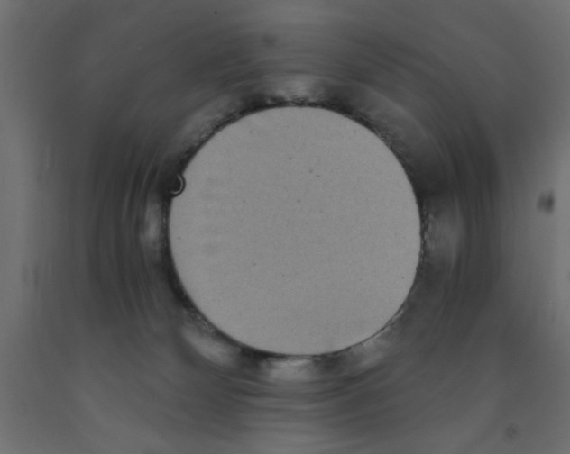 X0000090860132200708241907