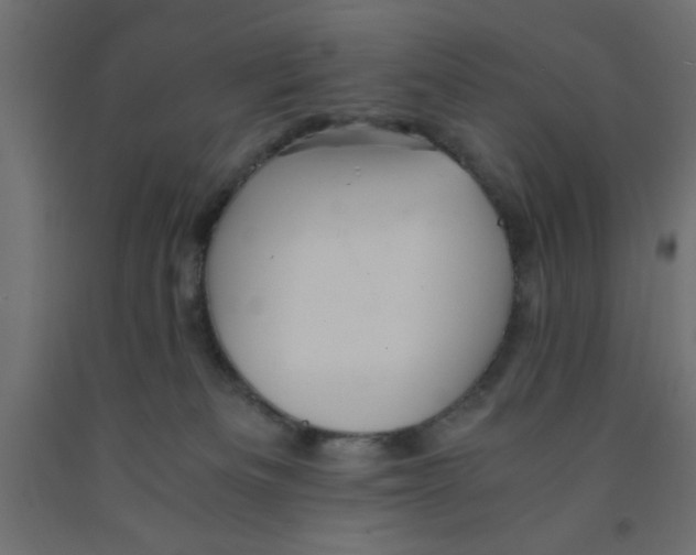 X0000090860133200708241907