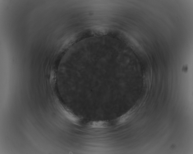 X0000090860134200708241907