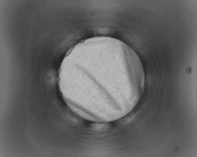 X0000090860135200708241907