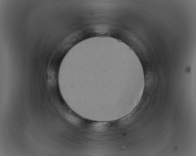 X0000090860136200708241907